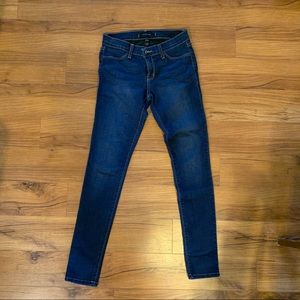 Flying Monkey Skinny Jeans